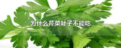 ​为什么芹菜叶子不能吃? 为什么芹菜叶子不能吃北京市中药一厂在什么地方