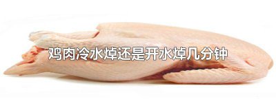 ​鸡肉用热水焯还是冷水焯好 鸡肉用热水焯还是冷水焯好吃