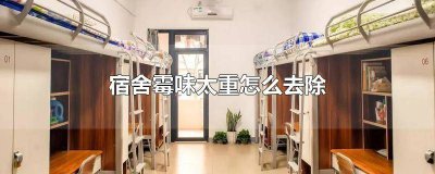 ​宿舍霉味潮湿严重 宿舍受潮发霉味怎么办