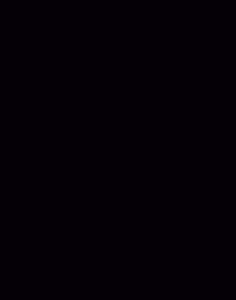 ​fine(超级网红FINE，5家分店全面撤离乌鲁木齐中路)