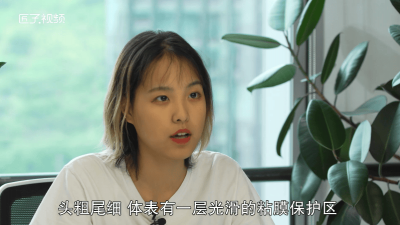 ​黄鳝洞一般在什么地方 怎么区分黄鳝洞