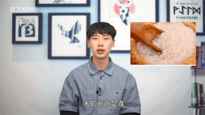 ​米的爸爸是谁脑筋急转弯米的外公 大米的爸爸是谁,脑筋急转弯