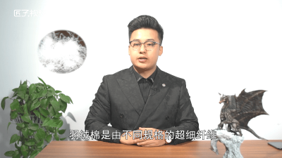 ​仿丝棉和羽绒 纺丝棉和羽绒棉哪个保暖