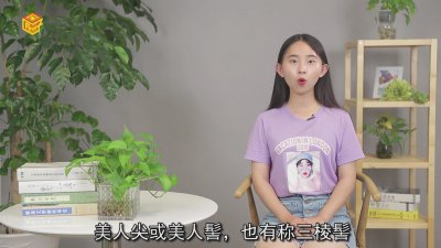 ​有美人尖的发型 头发美人尖图片女生