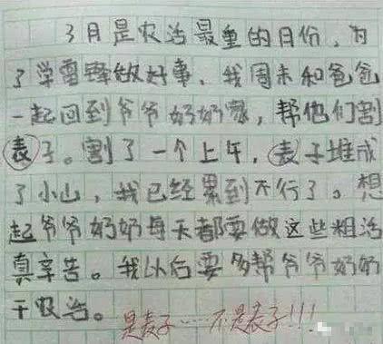 盘点小学生的奇葩作文，第五篇让老师吐血三碗，第八篇令家长蒙羞