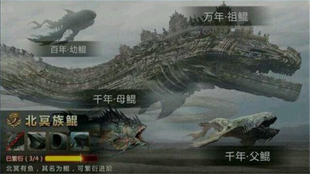 前段时间不可一世的鲲，如今被虐成了珍稀动物