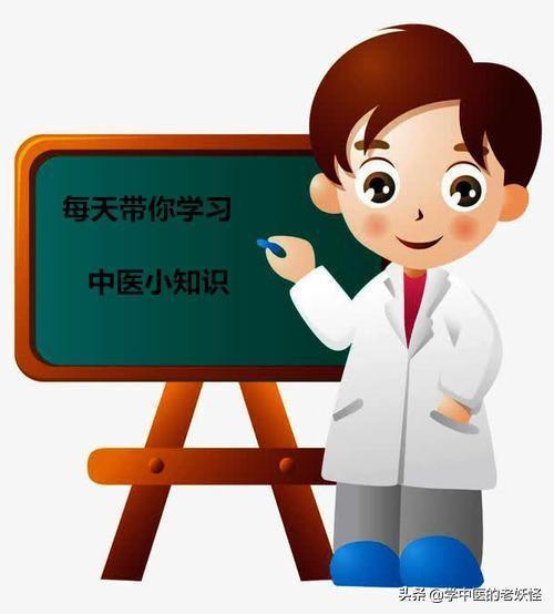 十二正经 之 足太阴脾经