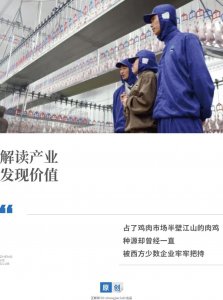 ​一年吃掉70亿只鸡的中国人，不再被国外卡脖子