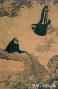 ​聊点小酒：武侠世界里的猴儿酒真的有吗