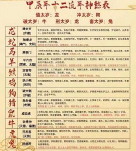 ​画虎不成是什么生肖？揭示生肖猴与生肖狗的精彩分析