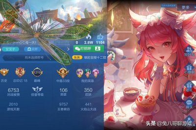 ​王者荣耀：个人主页展示怎么选？女孩子大爱女仆咖啡，直男选机甲