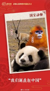 ​哪些“中国名片”让你引以为傲？