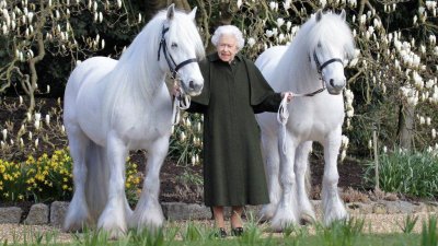 ​英国女王迎来96岁生日：生日照出炉，庆生地点有深意
