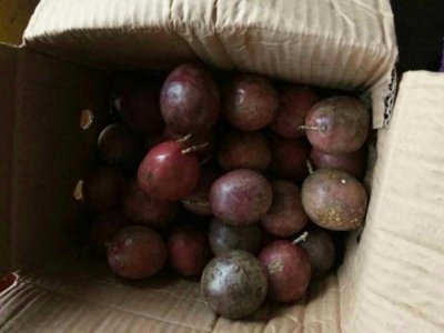 ​南方特有的“鸡蛋果”，卖4元一斤，北方人基本不认识！