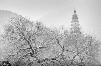 ​中国四大名刹