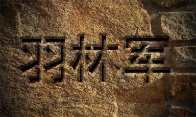 ​真的有“御林军”这样的军队存在吗？结果也许与你想的不一样