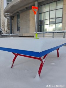 ​烟台遭遇暴雪袭城，最大积雪深度达25厘米