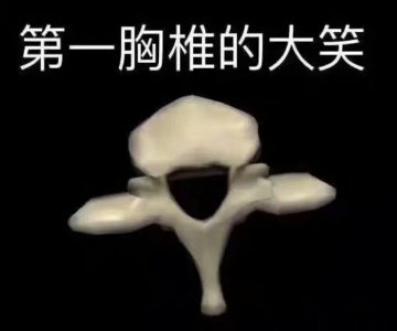 ​医学生专用表情包，学医必转