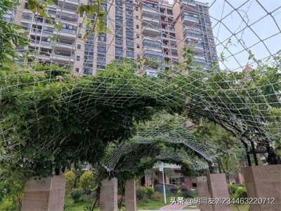 ​诡辩释义53：牵强附会