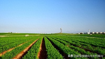 ​中国农业合作社（1）起源、发展现状与政策支持