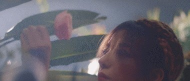 赵薇黄有龙深圳书记照片（赵薇和黄有龙上次同框还是5年前）