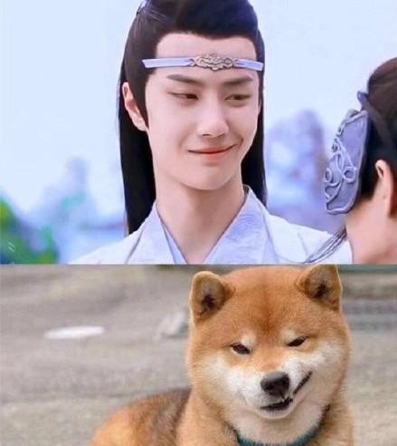 和狗撞脸的明星有哪些(与狗狗撞脸的明星们) 明星 狗狗 第2张