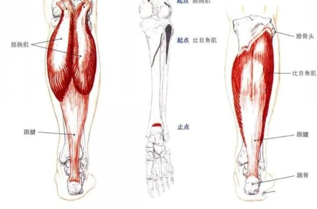 蒋梦婕骨子里有多美（蒋梦婕清纯人设崩塌了）(7)