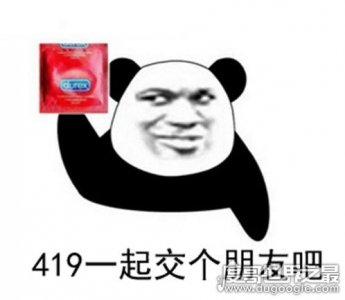 ​419什么意思，网络上代指一夜情(英国樱草节）