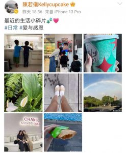 ​林志颖妻子陈若仪高调晒日常，六岁双胞胎儿子懂事承担家务