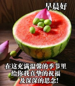 ​关怀问候早上好动态表情包 幸福美满早安动态祝福图片