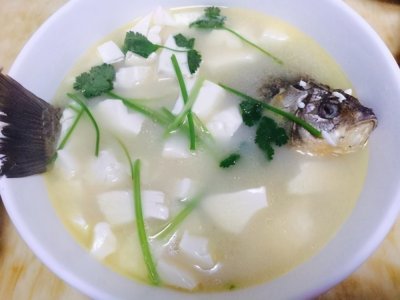 ​原来鲤鱼豆腐汤是这样做的，简单4步，味道鲜美，腥味全无