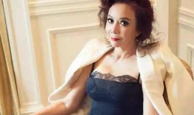蔡明整容上瘾(整容上瘾的女明星) 蔡明 女明星 第2张