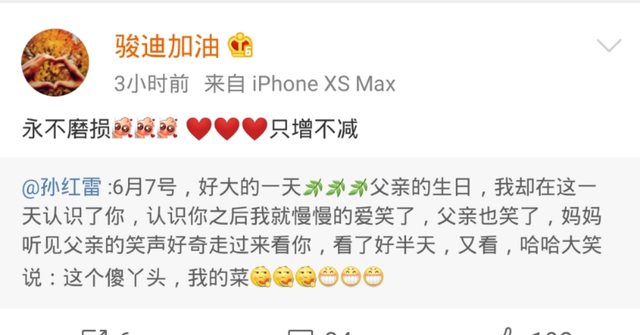 王骏迪是孙红雷的老婆吗(王骏迪是孙红雷老婆吗) 王骏迪 孙红雷 第3张