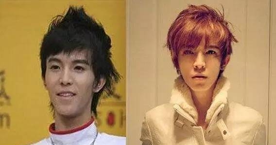 整容的男明星有哪些(90后整容的男明星有哪些) 明星 第6张
