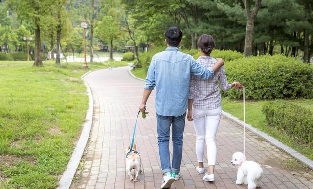 刘晓庆有孩子的吗(刘晓庆和谢晋真的有孩子吗) 刘晓庆 孩子 第3张