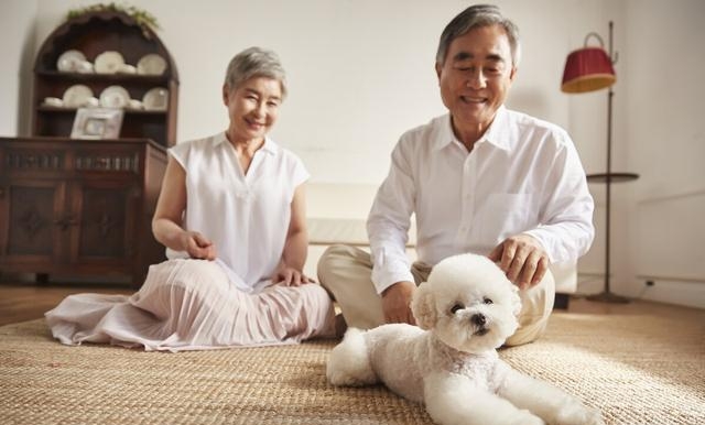 刘晓庆有孩子的吗(刘晓庆和谢晋真的有孩子吗) 刘晓庆 孩子 第4张