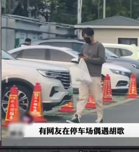 ​网友停车场偶遇胡歌开电动小汽车，帅哥配迷你车好有反差萌