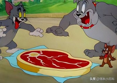 ​十大高分动画排行榜，看看有哪些你没看过的