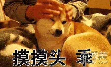 抖音只要你乖给你买条gai是什么歌？你是魔鬼还是秀儿是什么意思