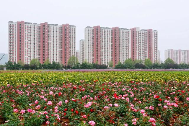 北京怀柔周边好玩的地方排名前十（怀柔网红地标清单更新）(9)
