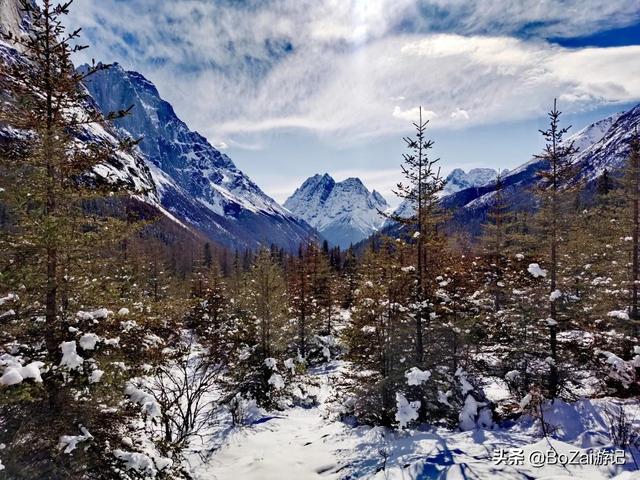 四川自驾游必去十大景点排名（不能错过这10大名山秀水）(59)