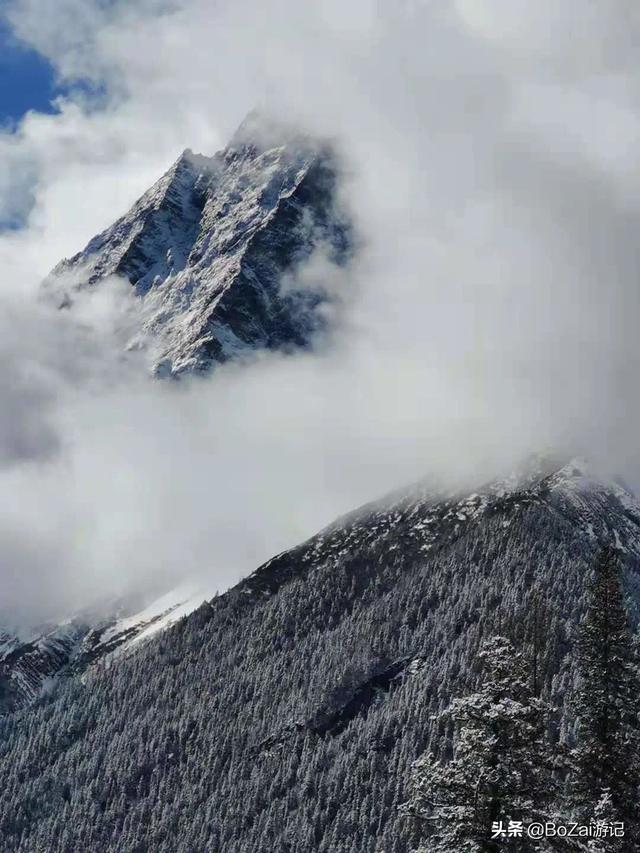 四川自驾游必去十大景点排名（不能错过这10大名山秀水）(56)