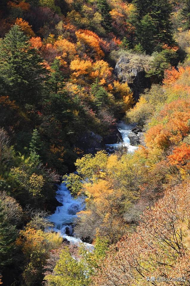 四川自驾游必去十大景点排名（不能错过这10大名山秀水）(32)