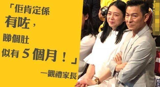 刘德华朱丽倩最新消息（刘德华演唱会6岁女儿首次公开露面）(22)