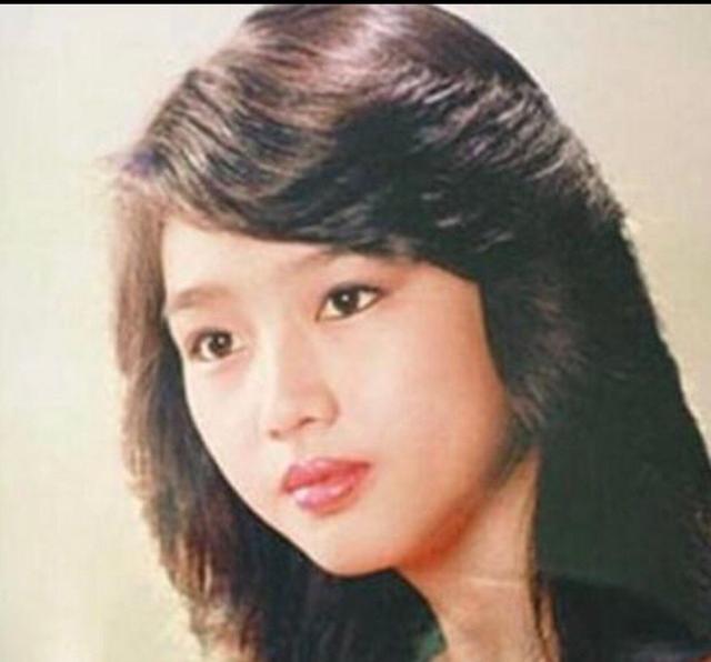 刘德华朱丽倩最新消息（刘德华演唱会6岁女儿首次公开露面）(10)