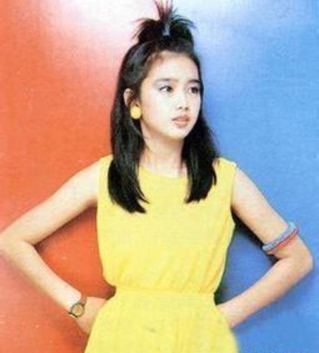 刘德华朱丽倩最新消息（刘德华演唱会6岁女儿首次公开露面）(11)