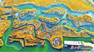 ​【图片新闻】张掖国家湿地公园碧水成冰宛如童话世界