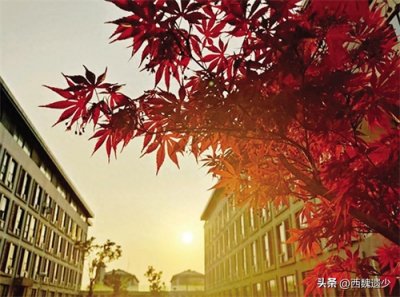 ​安徽科技学院，一所位于小县城的省属“大学”