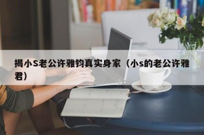 ​揭小S老公许雅钧真实身家（小s的老公许雅君）