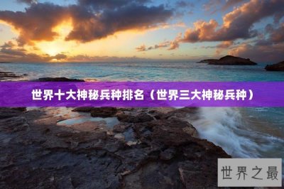 ​世界十大神秘兵种排名（世界三大神秘兵种）